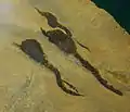 ウミリンゴ(ユタ州出土)