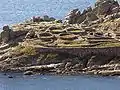 カストロ・デ・バローニャ