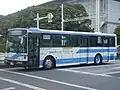 貸切用車両・前所有社のカラーパターンを変更したもの（いすゞLV、元・東京ベイシティ交通）