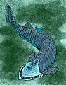 C. lyelli,とC. magnificans