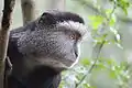 マサイマラ国立公園の写真。