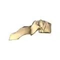 横から見た図。