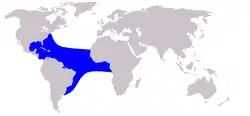 クライメンイルカ生息域