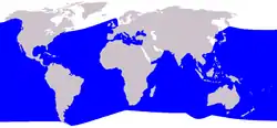 アカボウクジラの生息域