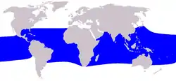サラワクイルカの生息域