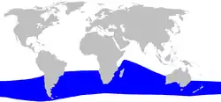 ミナミオウギハクジラの生息域