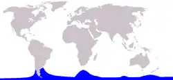 ダンダラカマイルカの生息域