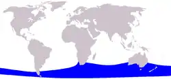 コセミクジラの分布図