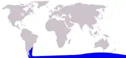 メガネイルカの生息域