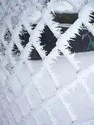 フェンスに付いた霜（樹霜）