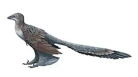 Changyuraptor yangiの復元図