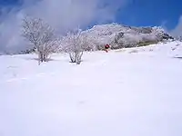 自由の広場から茶臼山