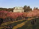 クリチバ植物園(クリチバ)