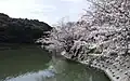 園内の池