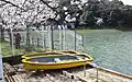 貸しボート乗り場
