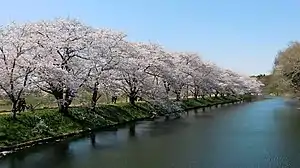 福岡堰