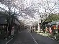 15.谷汲山華厳寺