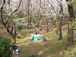 三ツ沢公園の桜区庁舎位置