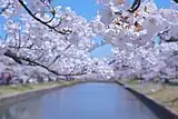 鶴岡公園(山形県鶴岡市)