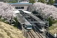 桜の季節（2009年4月）