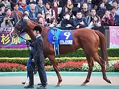 9　シュヴァルグラン
