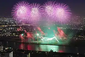 市川市民納涼花火大会(市川市側から望む)