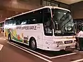 メープル号（専用色時代）