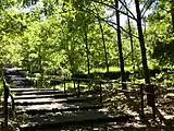 平成の森