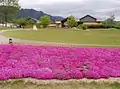 安曇野ちひろ美術館全景（2008年5月13日撮影）