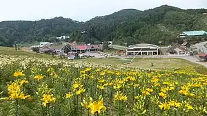 ちくさ高原ゆり園