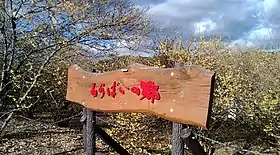 ろうばいの郷