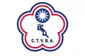 中華民國排球協會（中華民国バレーボール協会）の旗