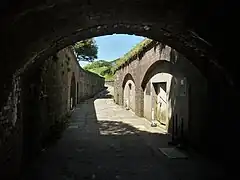 塁道。右は棲息掩蔽部