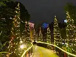 クリスマスイルミネーション（2016年（平成28年）11月）