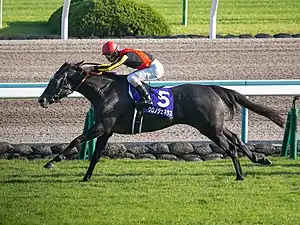 第24回優勝馬クロノジェネシス（鞍上、北村友一）