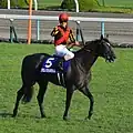 秋華賞・歓声に応える北村友一