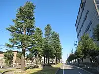 NTT西日本岡崎ビル付近