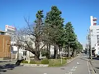 中央緑道の南端（2015年12月）