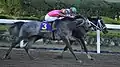 2019年優勝馬チュウワウィザード