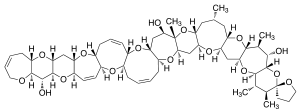CTX3C