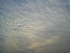巻積雲