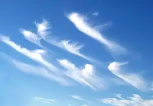 鉤状巻雲