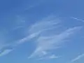 片側だけの肋骨雲