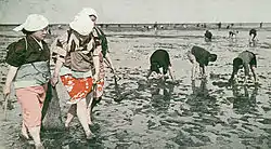 羽田沖の潮干狩り(1937年)