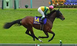 クラリティスカイ（2012年産）