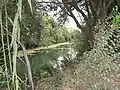 クロット・デ・ラ・マーレ・デ・デウ自然公園
