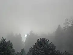 半透明層雲。太陽の輪郭がはっきりと見える。