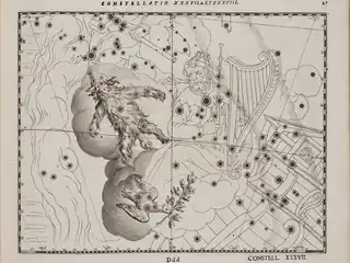 ユリウス・シラーの天文書『Coelum Stellatum Christianum』（1627年）に描かれた、現在のおおいぬ座、うさぎ座、はと座の領域。ノアの方舟にオリーブを咥えて戻るハトの姿が描かれている。