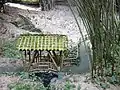 竹林