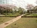手仕事の庭